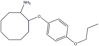2-(4-propoxyphenoxy)cyclooctan-1-amine 结构式