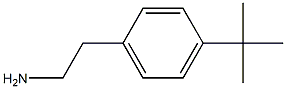 2-(4-tert-butylphenyl)ethan-1-amine 结构式