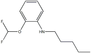 2-(difluoromethoxy)-N-pentylaniline 结构式