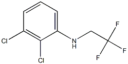 2,3-dichloro-N-(2,2,2-trifluoroethyl)aniline 结构式