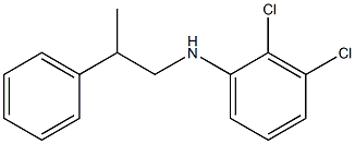 2,3-dichloro-N-(2-phenylpropyl)aniline 结构式