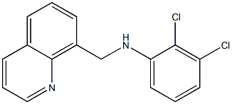 2,3-dichloro-N-(quinolin-8-ylmethyl)aniline 结构式