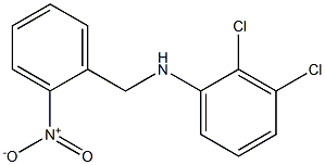 2,3-dichloro-N-[(2-nitrophenyl)methyl]aniline 结构式