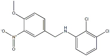 2,3-dichloro-N-[(4-methoxy-3-nitrophenyl)methyl]aniline 结构式
