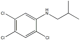 2,4,5-trichloro-N-(2-methylpropyl)aniline 结构式