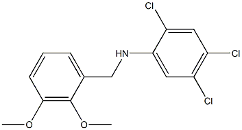 2,4,5-trichloro-N-[(2,3-dimethoxyphenyl)methyl]aniline 结构式