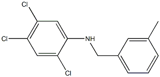 2,4,5-trichloro-N-[(3-methylphenyl)methyl]aniline 结构式