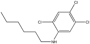 2,4,5-trichloro-N-hexylaniline 结构式