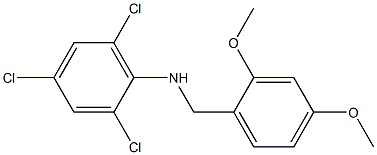 2,4,6-trichloro-N-[(2,4-dimethoxyphenyl)methyl]aniline 结构式