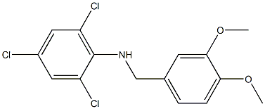 2,4,6-trichloro-N-[(3,4-dimethoxyphenyl)methyl]aniline 结构式