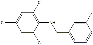 2,4,6-trichloro-N-[(3-methylphenyl)methyl]aniline 结构式