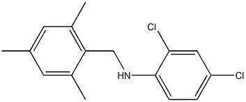 2,4-dichloro-N-[(2,4,6-trimethylphenyl)methyl]aniline 结构式