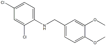 2,4-dichloro-N-[(3,4-dimethoxyphenyl)methyl]aniline 结构式