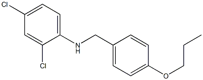 2,4-dichloro-N-[(4-propoxyphenyl)methyl]aniline 结构式