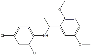 2,4-dichloro-N-[1-(2,5-dimethoxyphenyl)ethyl]aniline 结构式