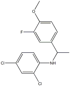2,4-dichloro-N-[1-(3-fluoro-4-methoxyphenyl)ethyl]aniline 结构式