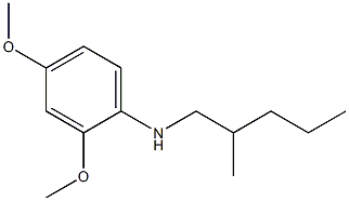 2,4-dimethoxy-N-(2-methylpentyl)aniline 结构式