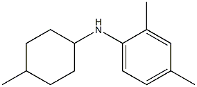 2,4-dimethyl-N-(4-methylcyclohexyl)aniline 结构式