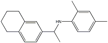 2,4-dimethyl-N-[1-(5,6,7,8-tetrahydronaphthalen-2-yl)ethyl]aniline 结构式