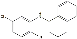 2,5-dichloro-N-(1-phenylbutyl)aniline 结构式