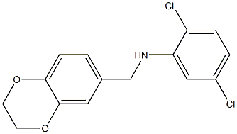 2,5-dichloro-N-(2,3-dihydro-1,4-benzodioxin-6-ylmethyl)aniline 结构式