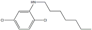 2,5-dichloro-N-heptylaniline 结构式