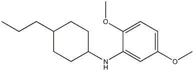 2,5-dimethoxy-N-(4-propylcyclohexyl)aniline 结构式