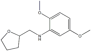 2,5-dimethoxy-N-(oxolan-2-ylmethyl)aniline 结构式