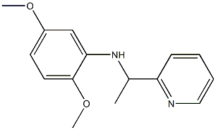 2,5-dimethoxy-N-[1-(pyridin-2-yl)ethyl]aniline 结构式