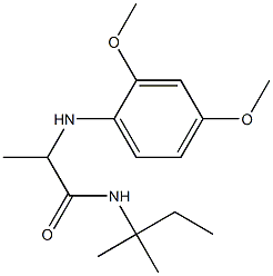 2-[(2,4-dimethoxyphenyl)amino]-N-(2-methylbutan-2-yl)propanamide 结构式