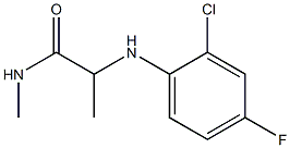 2-[(2-chloro-4-fluorophenyl)amino]-N-methylpropanamide 结构式