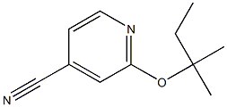 2-[(2-methylbutan-2-yl)oxy]pyridine-4-carbonitrile 结构式