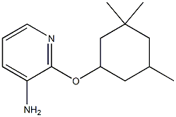 2-[(3,3,5-trimethylcyclohexyl)oxy]pyridin-3-amine 结构式