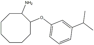 2-[3-(propan-2-yl)phenoxy]cyclooctan-1-amine 结构式