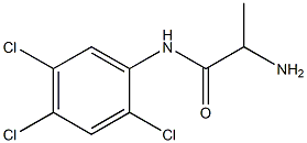 2-amino-N-(2,4,5-trichlorophenyl)propanamide 结构式