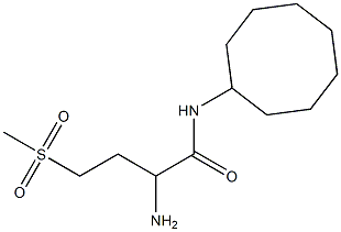 2-amino-N-cyclooctyl-4-(methylsulfonyl)butanamide 结构式