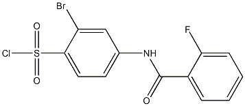 2-bromo-4-[(2-fluorobenzene)amido]benzene-1-sulfonyl chloride 结构式
