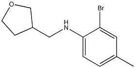 2-bromo-4-methyl-N-(oxolan-3-ylmethyl)aniline 结构式