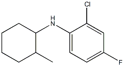 2-chloro-4-fluoro-N-(2-methylcyclohexyl)aniline 结构式