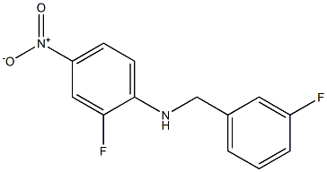 2-fluoro-N-[(3-fluorophenyl)methyl]-4-nitroaniline 结构式