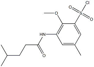 2-methoxy-5-methyl-3-(4-methylpentanamido)benzene-1-sulfonyl chloride 结构式
