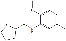 2-methoxy-5-methyl-N-(oxolan-2-ylmethyl)aniline 结构式