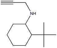 2-tert-butyl-N-(prop-2-yn-1-yl)cyclohexan-1-amine 结构式