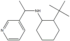 2-tert-butyl-N-[1-(pyridin-3-yl)ethyl]cyclohexan-1-amine 结构式