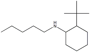 2-tert-butyl-N-pentylcyclohexan-1-amine 结构式