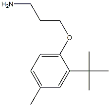 3-(2-tert-butyl-4-methylphenoxy)propan-1-amine 结构式