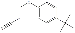3-(4-tert-butylphenoxy)propanenitrile 结构式