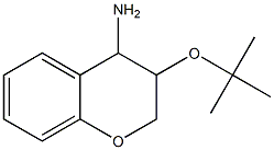 3-(tert-butoxy)-3,4-dihydro-2H-1-benzopyran-4-amine 结构式