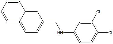 3,4-dichloro-N-(naphthalen-2-ylmethyl)aniline 结构式
