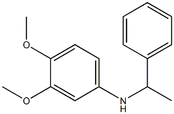 3,4-dimethoxy-N-(1-phenylethyl)aniline 结构式